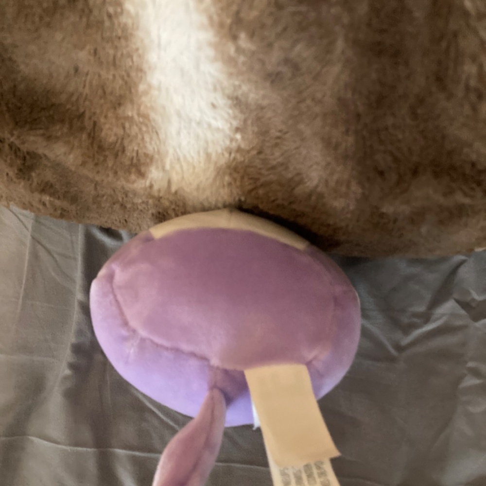 Tabitha the cat squishmallow - Picture 3 of 7